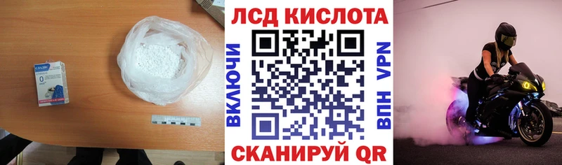 где купить   mega ONION  LSD-25 экстази кислота  Новозыбков 
