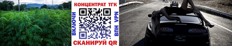 закладка  Новозыбков  ТГК вейп с тгк 