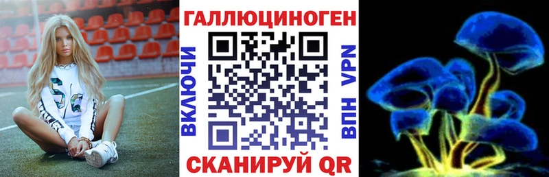 Псилоцибиновые грибы Psilocybe  мега онион  Новозыбков 
